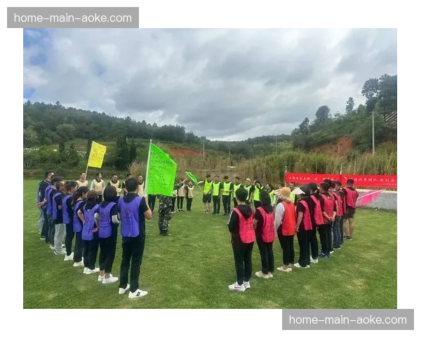 标准化操作规范在系统重构期确立 提升了临时组建团队的协作默契度