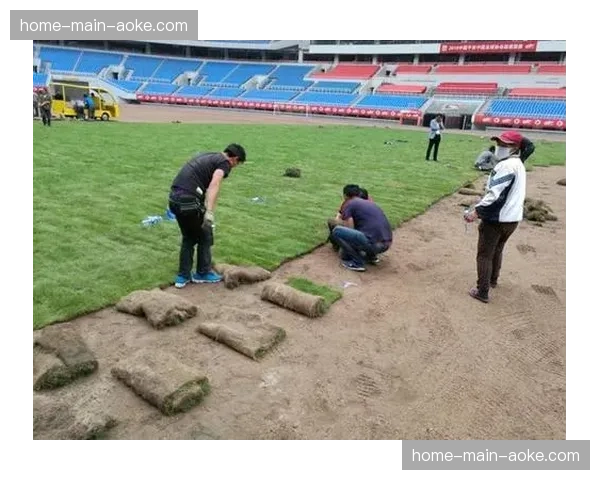 专业机构对部分中超草皮质量进行评估，结果将反馈俱乐部